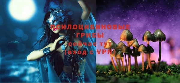 круглые Алзамай