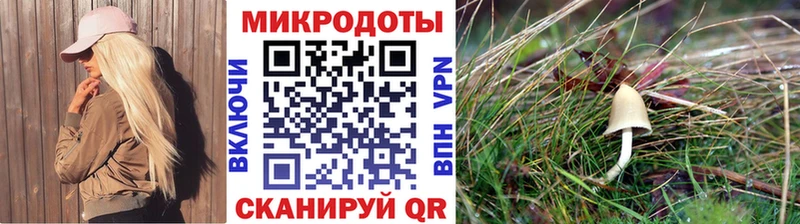 Псилоцибиновые грибы Magic Shrooms где продают наркотики Заволжск