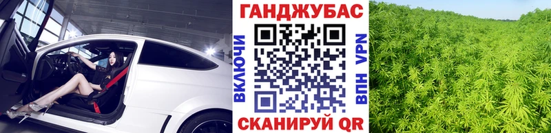 где найти   Заволжск  Канабис AK-47 